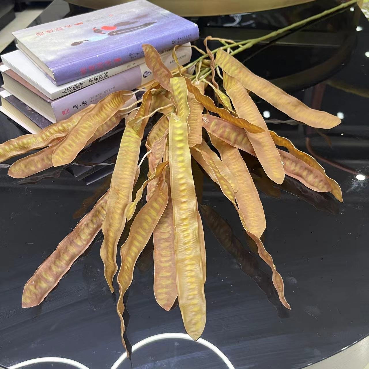 Wholesale Factory Supply Dried Flower Preserved Bean Fabaceae Gleditsia Sinensis for Home Decor