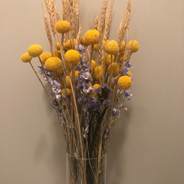 Dried Preserved Flowers Arrangements Vase Filler Dry Flower Bouquet Craspedia Natural Dried Billy Balls