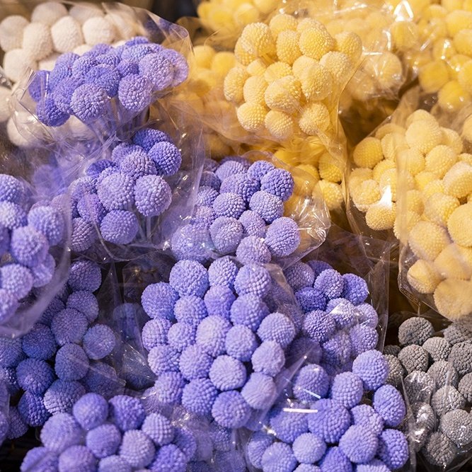 Dried Preserved Flowers Arrangements Vase Filler Dry Flower Bouquet Craspedia Natural Dried Billy Balls