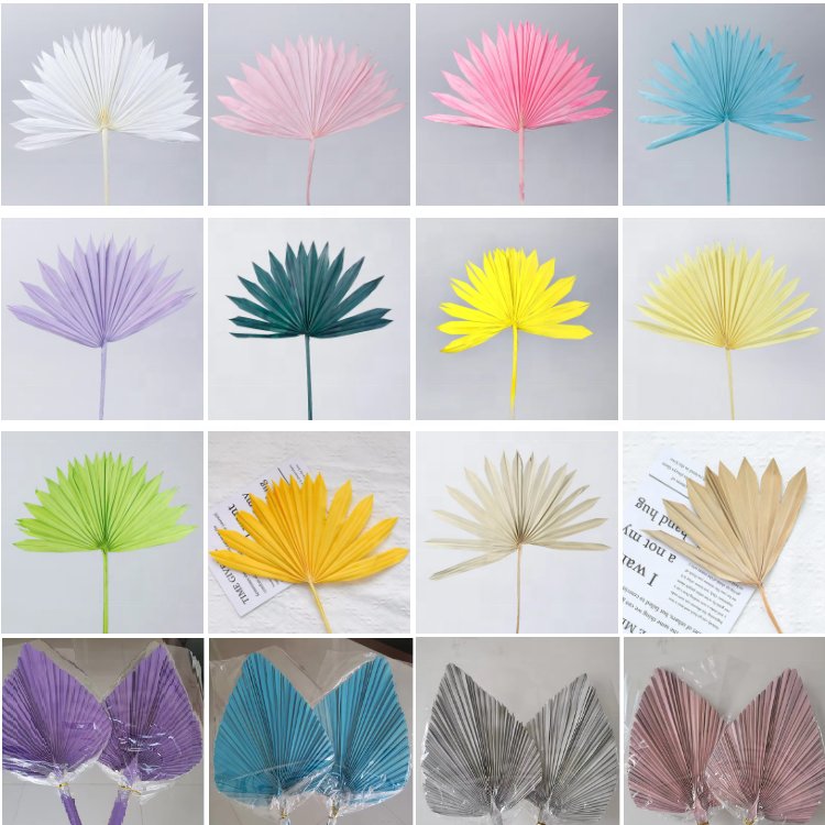 Widely Used Dried Flower Manufacturer Natural Dried Colorful Palm Leaves Preserved Flower For Room Decoration