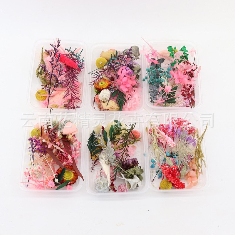 Random DIY Boxed Mixed Dried Flower For Resin Art Nails Decor Mobile Phone Shell Real Flower