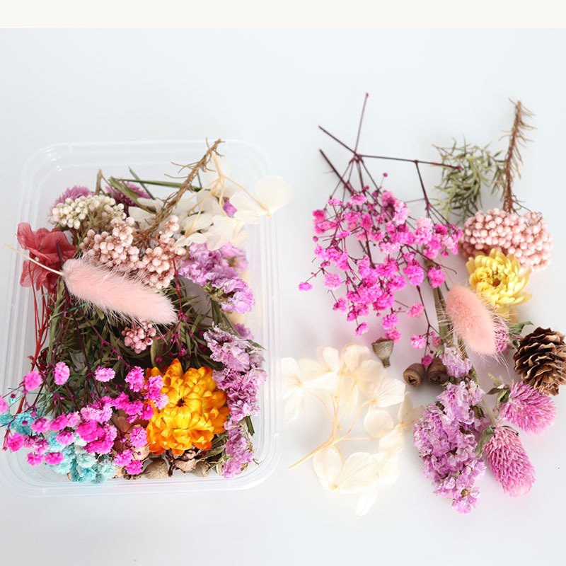 Random DIY Boxed Mixed Dried Flower For Resin Art Nails Decor Mobile Phone Shell Real Flower
