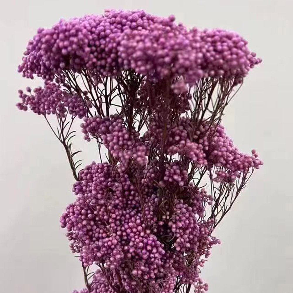 Manufacturer Preserved Natural millet flowers Dried Bouquet For Home And Wedding Decoration
