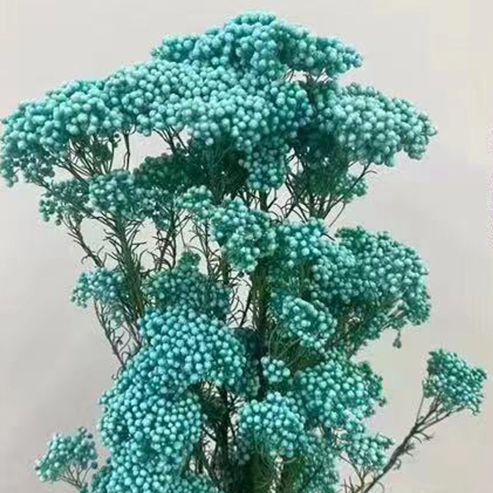Manufacturer Preserved Natural millet flowers Dried Bouquet For Home And Wedding Decoration