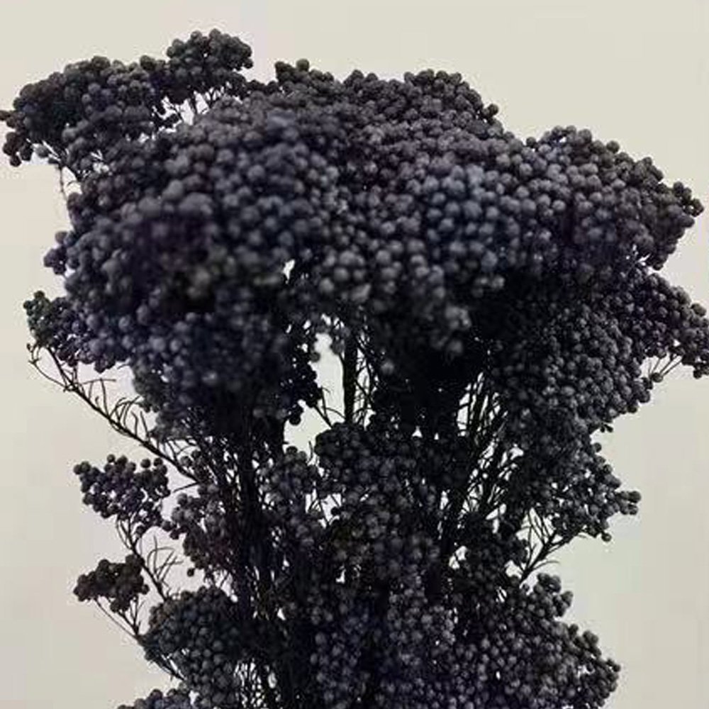 Manufacturer Preserved Natural millet flowers Dried Bouquet For Home And Wedding Decoration