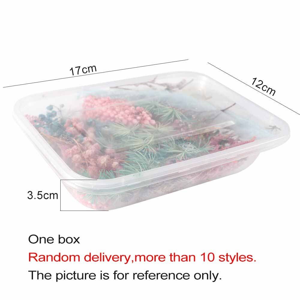 Natural Dried Pressed Flowers Leaves Set Mixed Dried Flowers Colorful Real Dry Flowers for DIY Candle Resin Jewelry Nail Crafts