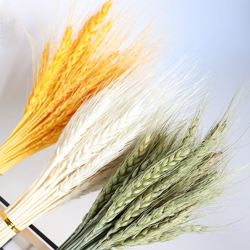 JD-N126 Hot sale in 2021 Preserved flowers decorative artificial Artificial Wedding natural Pampas Grass Ears of Wheat