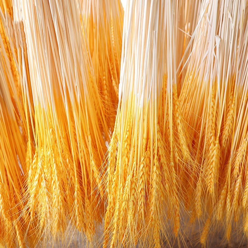 JD-N126 Hot sale in 2021 Preserved flowers decorative artificial Artificial Wedding natural Pampas Grass Ears of Wheat