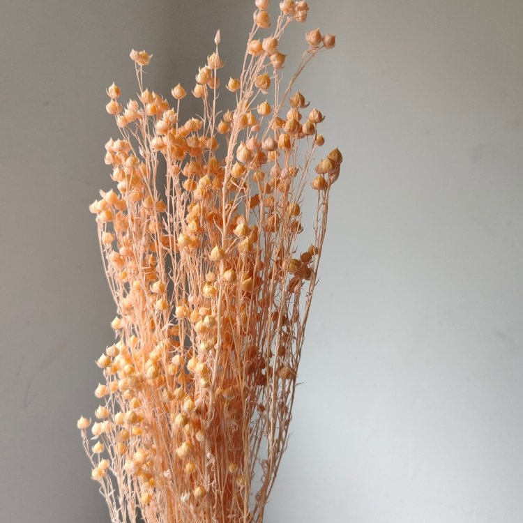 Rich Beans 6-Color Preserved Dried Flowers Bouquet and Handicrafts 70g/Bundle for Easter Occasions