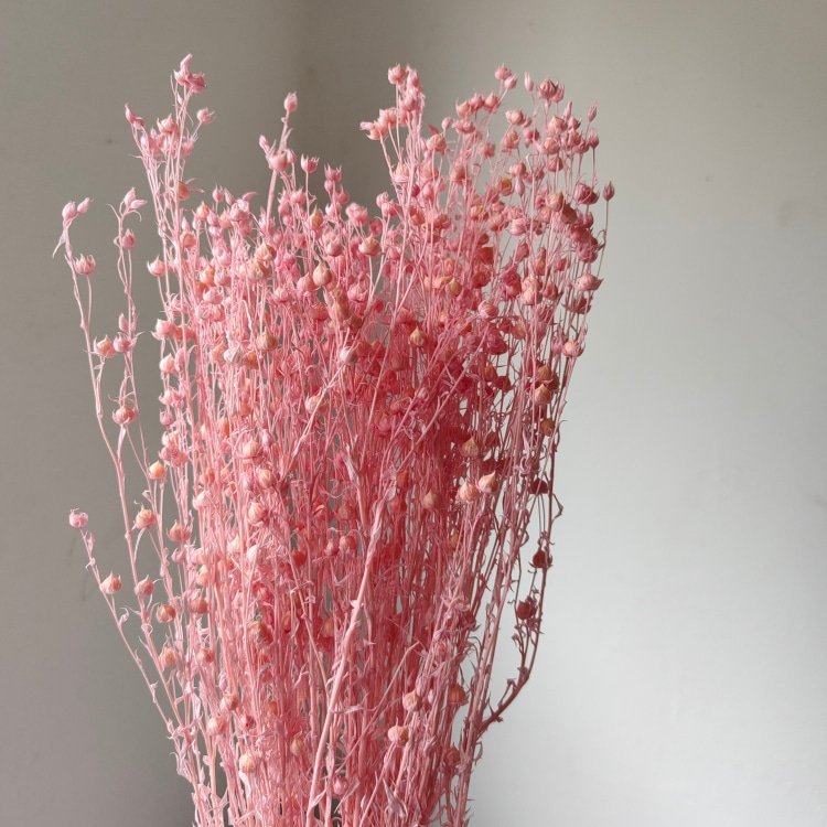 Rich Beans 6-Color Preserved Dried Flowers Bouquet and Handicrafts 70g/Bundle for Easter Occasions