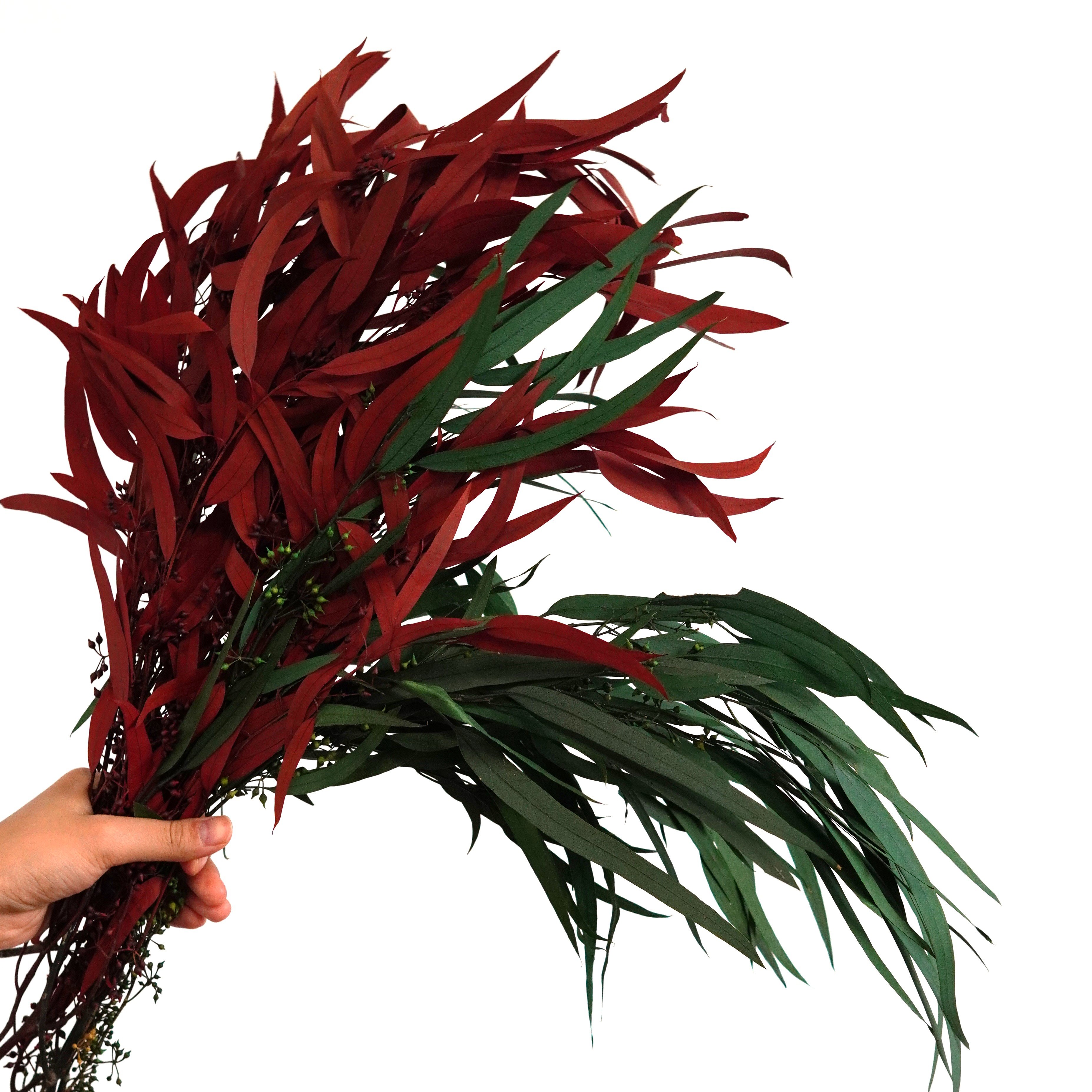 Preserved-Dried Feather Willow Eucalyptus,Wedding,Home Decor Bulk Dried Greenery Bunches
