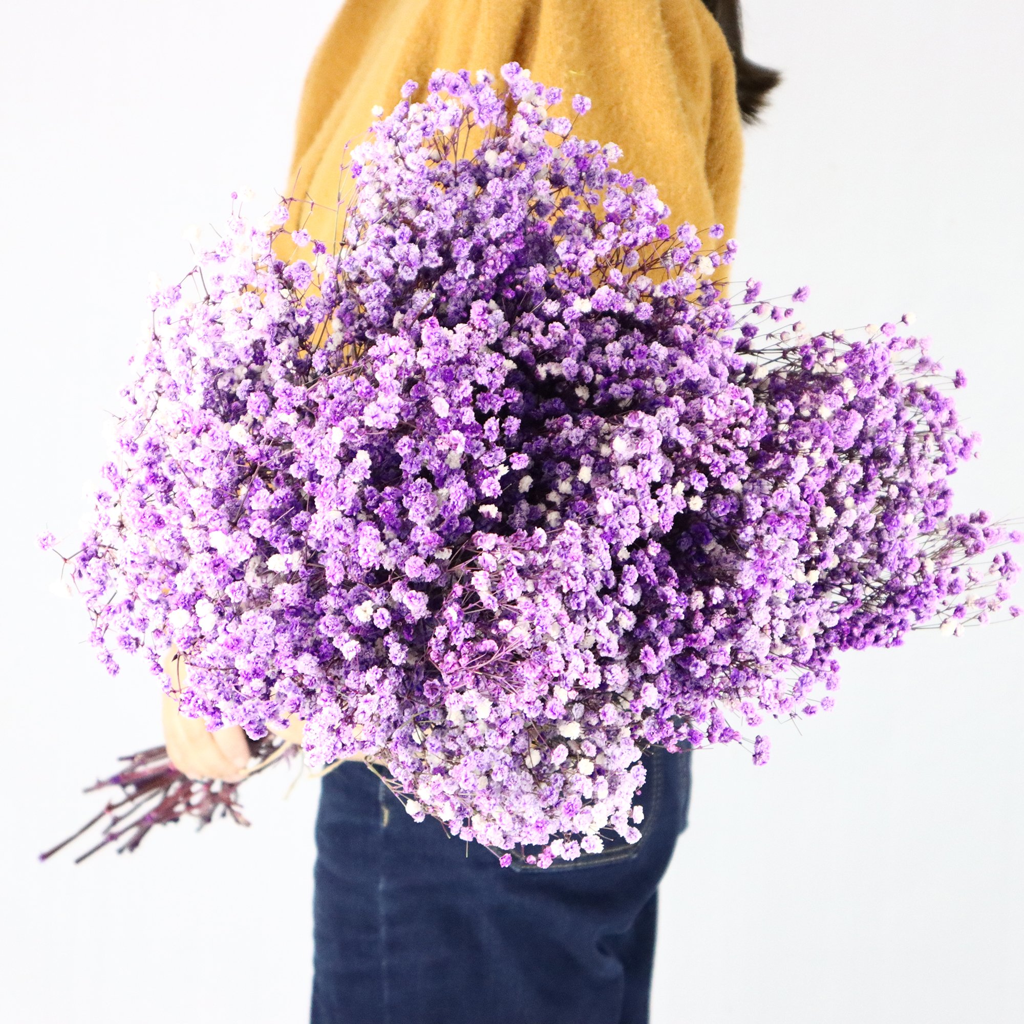 preserved flowers and plants babys breath dried flowers baby's breath gypsophila dried baby breath flower for bouquet