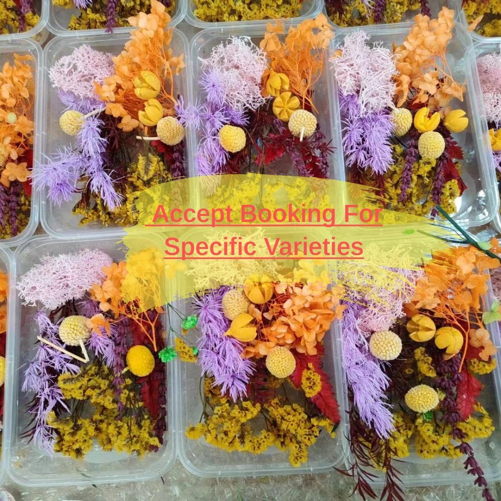 Mixed mini dried flower bouquet DIY decorations arrangements wedding party corsage floral decor event favors table centerpieces