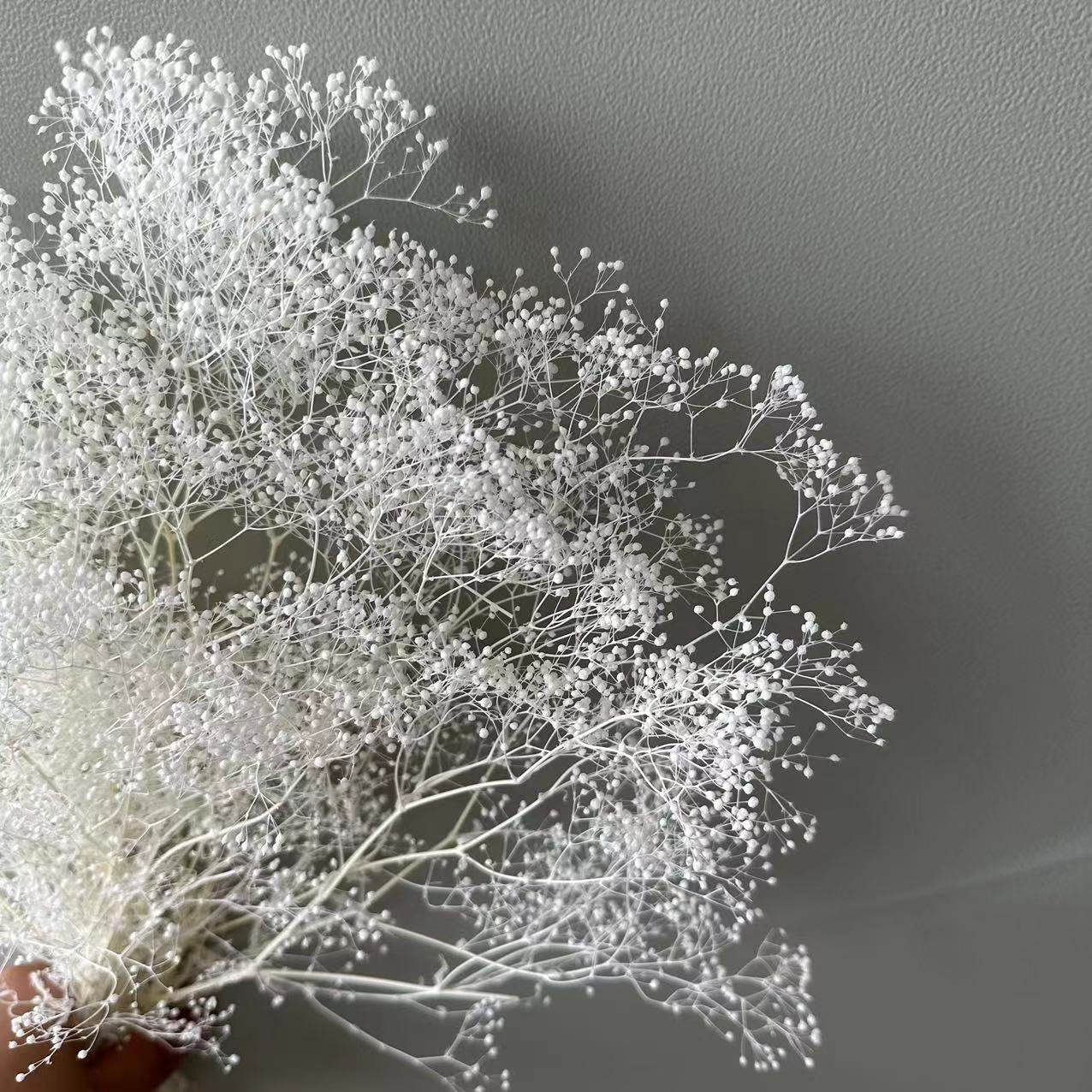AX- 80 Eternal Flower Million Stars Dried Flower Natural Flower Gypsophila Dream Stars Home Decoration