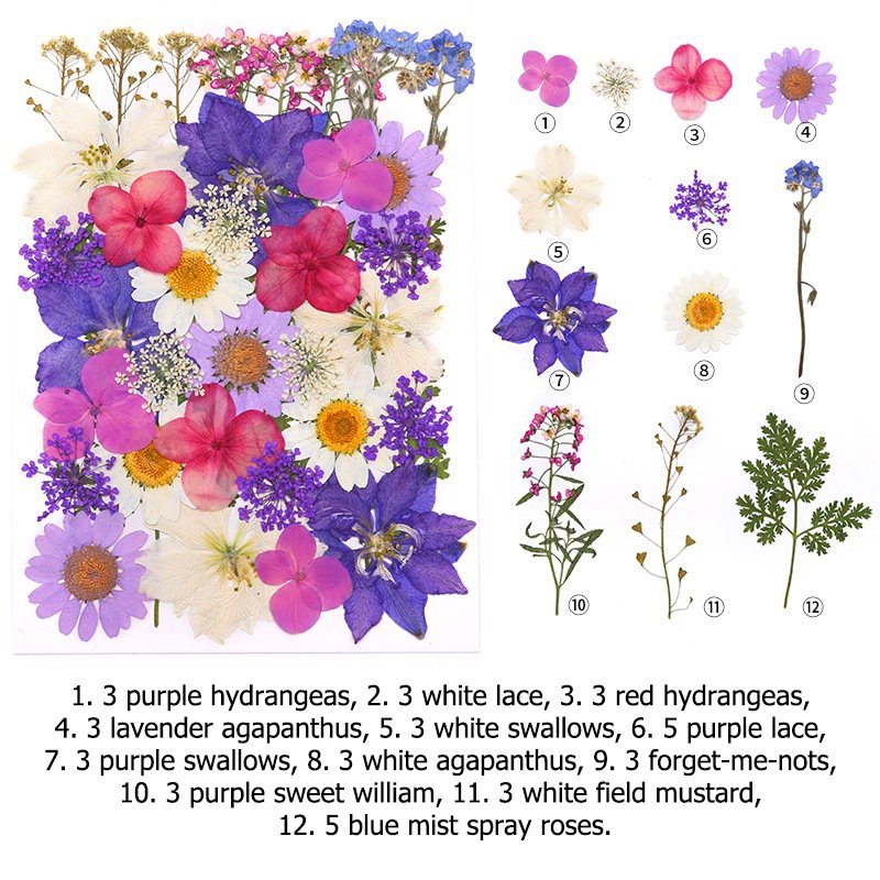Wholesale Boho DIY Dried Pressed Flowers for Resin Decorations