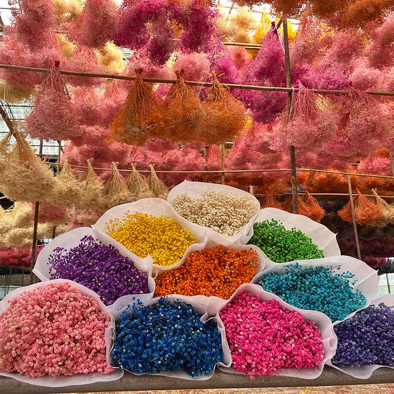 Wholesale hot sell baby breath dried flowers bouquet plants natural preserved flowers gypsophila for wedding home decoration