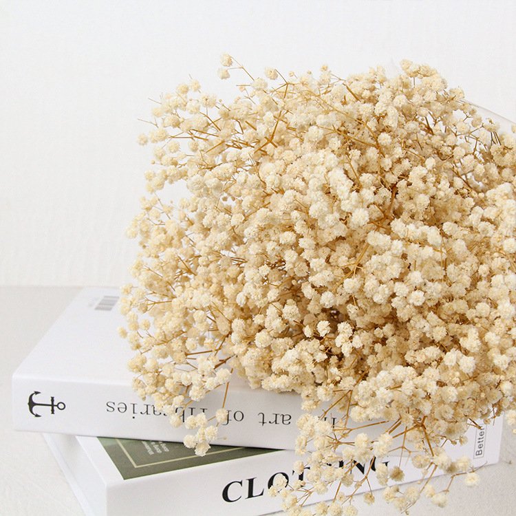 Wholesale hot sell baby breath dried flowers bouquet plants natural preserved flowers gypsophila for wedding home decoration