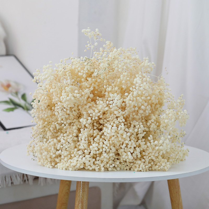 Wholesale hot sell baby breath dried flowers bouquet plants natural preserved flowers gypsophila for wedding home decoration