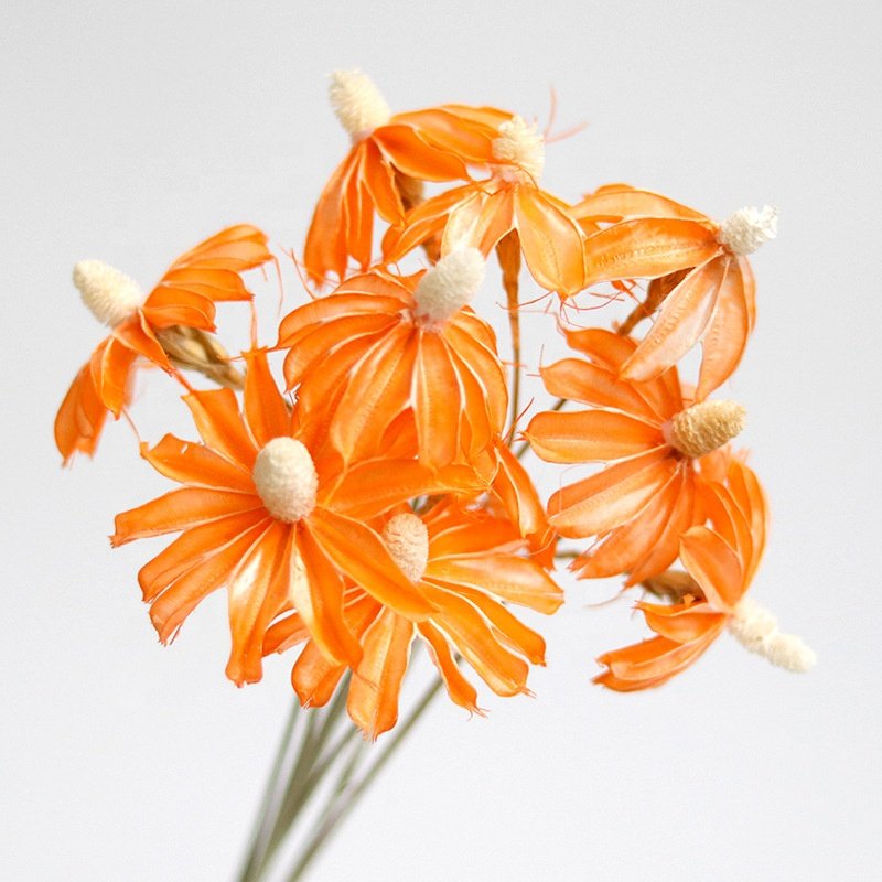 10Pcs Little Daisy Chamomile Dry Flower Bouquet Dried Daisy Home Decorative Flowers