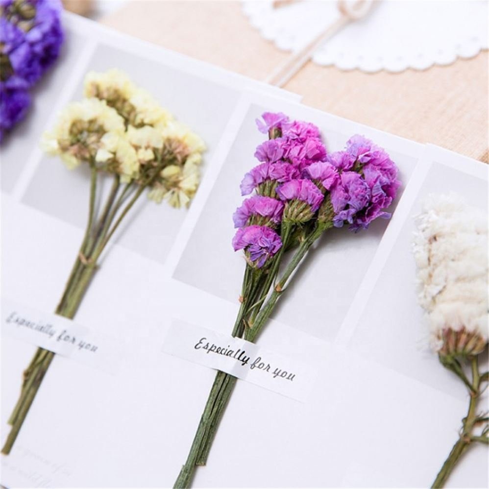 New Styles Dried Flowers Greeting Cards