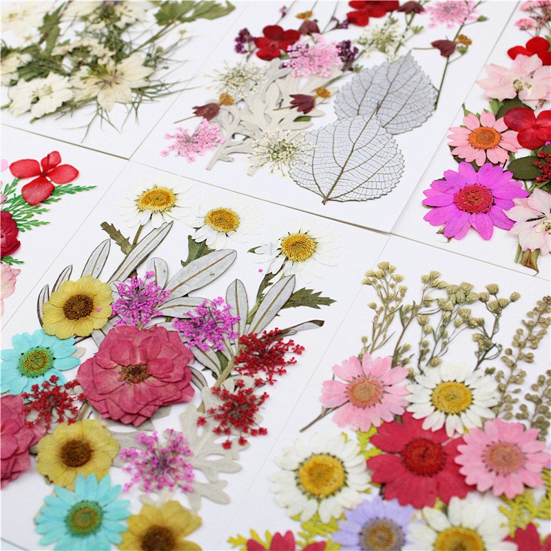 Real Dried Pressed Flowers for Resin Mold Leaves Natural for DIY Candle Decoration Resin Accessories Jewelry Crafts Nails Decor
