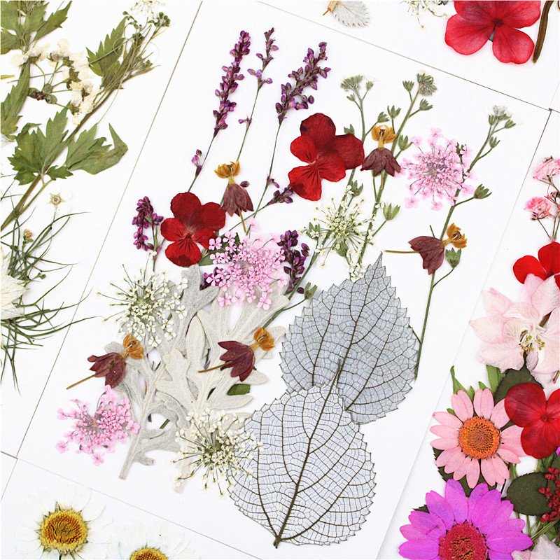 Real Dried Pressed Flowers for Resin Mold Leaves Natural for DIY Candle Decoration Resin Accessories Jewelry Crafts Nails Decor