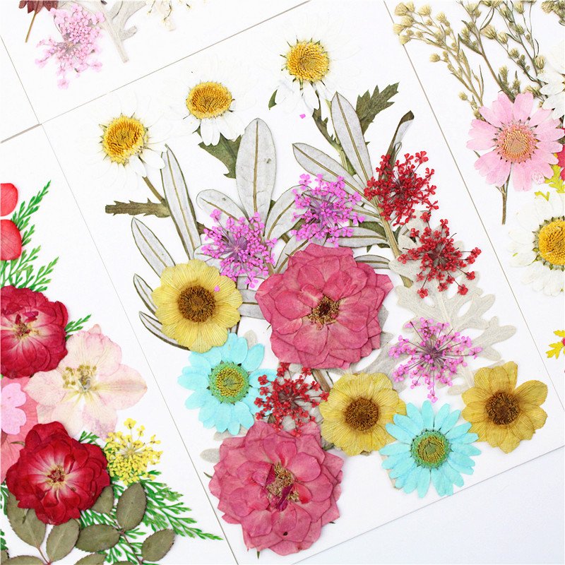 Real Dried Pressed Flowers for Resin Mold Leaves Natural for DIY Candle Decoration Resin Accessories Jewelry Crafts Nails Decor