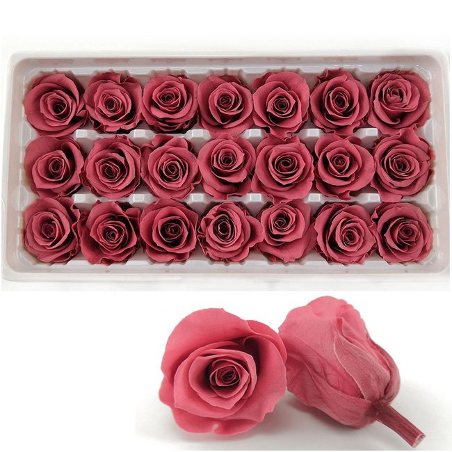 Wholesale Grade A Size 2-3cm preserved flower flower flores preserved roses preserved flowers and plants gifts