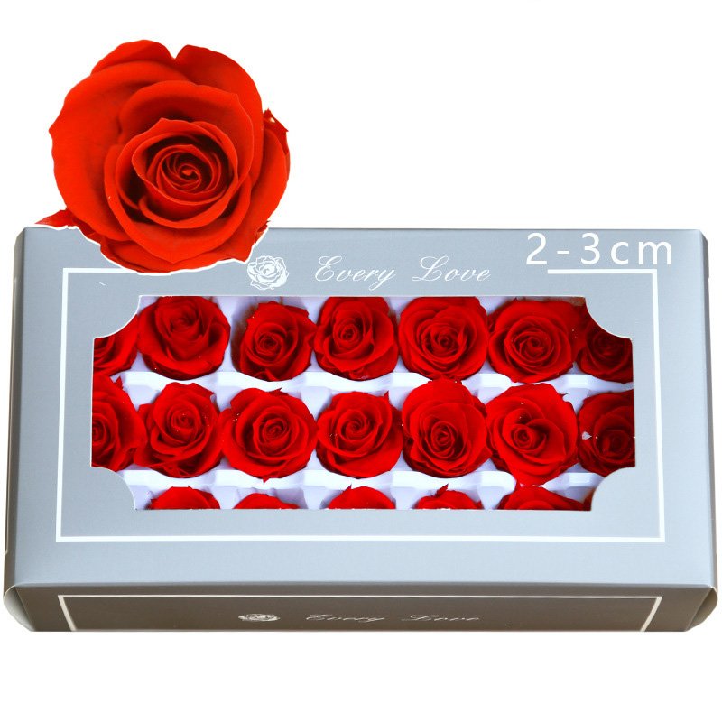 Wholesale Grade A Size 2-3cm preserved flower flower flores preserved roses preserved flowers and plants gifts