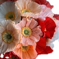 New China handmade or DIY high quality customized party or wedding decorative crepe paper flowers dried flowers/pampas