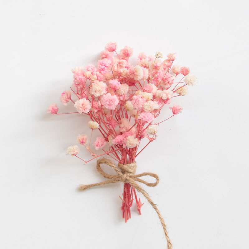 Dried Babys Breath Flowers Bouquet Natural Gypsophila Branches for Wedding Table Vase Decor Wreath Floral Office Party Decor