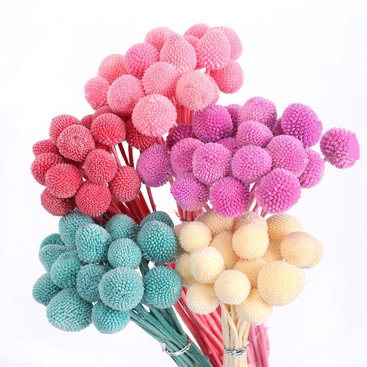 Amazon Hot Selings 2024 Billy Button Preserved Craspedia for Wedding Decoration Arrangements