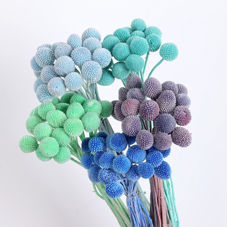 Amazon Hot Selings 2024 Billy Button Preserved Craspedia for Wedding Decoration Arrangements