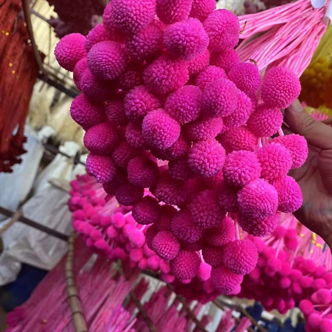 Amazon Hot Selings 2024 Billy Button Preserved Craspedia for Wedding Decoration Arrangements