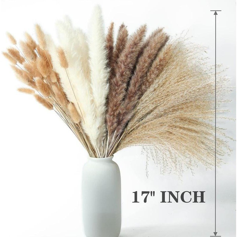 100 PCS Pampas Grass Contains Bunny Tails Dried Flowers Seeds, Reed Grass Bouquet for Wedding Boho Flowers Home Table Decor,
