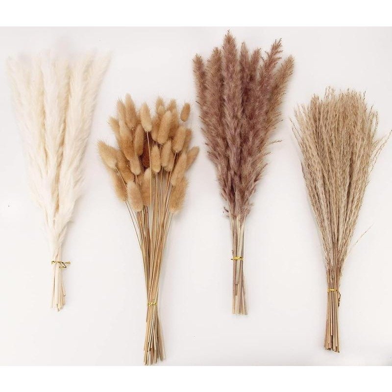 100 PCS Pampas Grass Contains Bunny Tails Dried Flowers Seeds, Reed Grass Bouquet for Wedding Boho Flowers Home Table Decor,