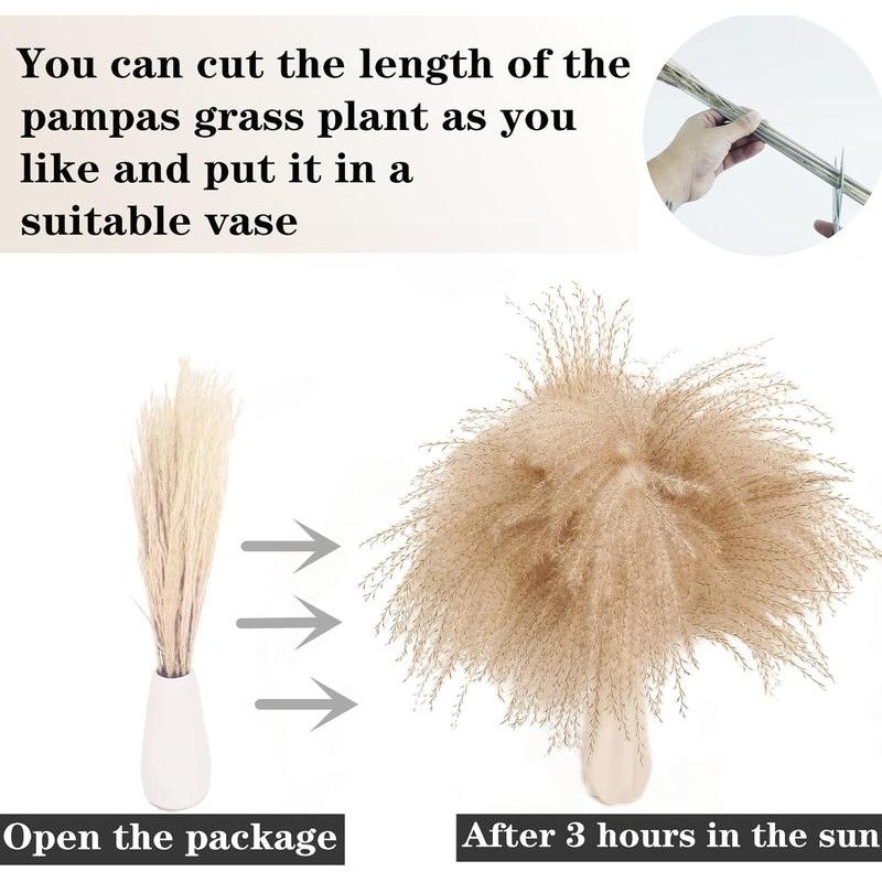 100 PCS Pampas Grass Contains Bunny Tails Dried Flowers Seeds, Reed Grass Bouquet for Wedding Boho Flowers Home Table Decor,