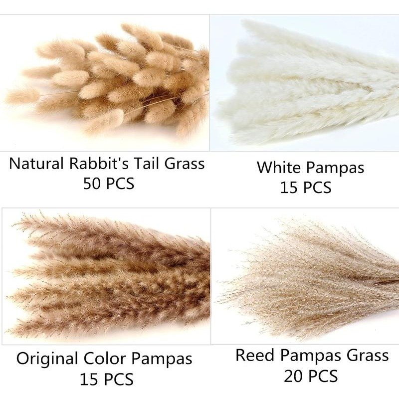 100 PCS Pampas Grass Contains Bunny Tails Dried Flowers Seeds, Reed Grass Bouquet for Wedding Boho Flowers Home Table Decor,