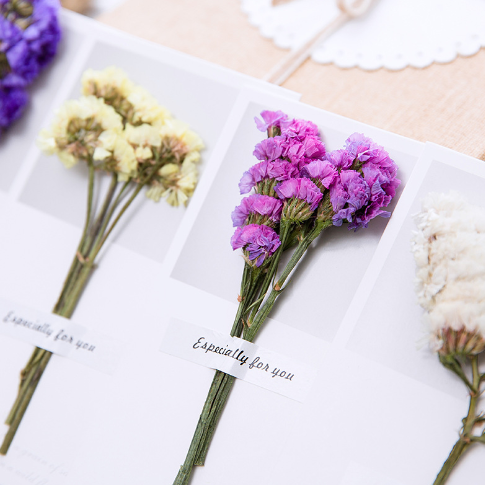 New Styles DIY Birthday Dried Flowers Greeting Cards handwritten greeting cards thank you cards for decor