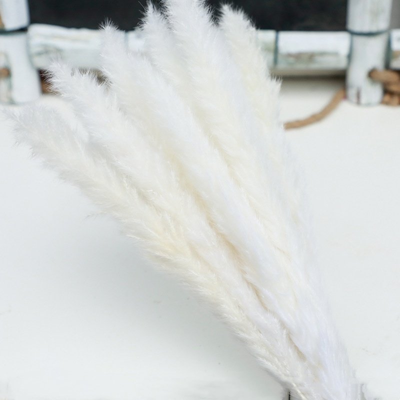 Dried Flowers & Plants Flower Reed Small Pampas Grass Decorative Flowers For Decor