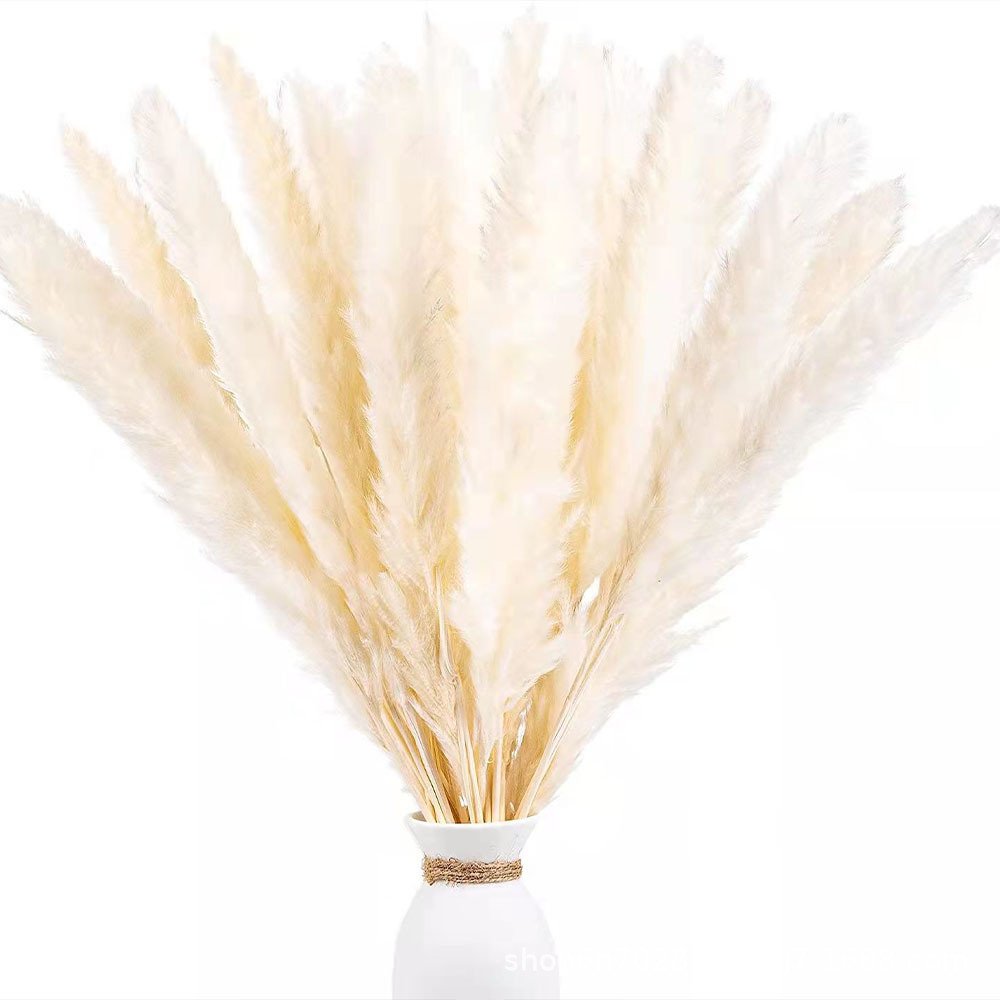 Bohemian Wedding Table Decora Natural Dried Pampas Grass Decor Dried Rabbit Tail Flowers Reed Grass Bouquets
