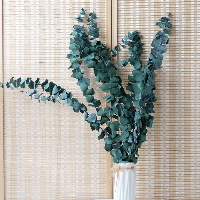 Home Decor Boho Style Preserved Foliage Dried Flowers Eucalyptus Cineria Stems Preserved Eucalyptus Leaves For Shower