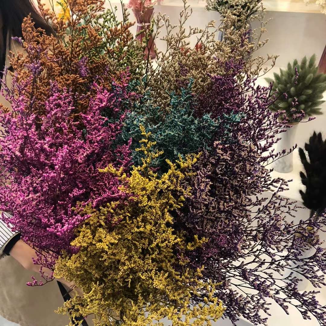 Preserved Natural Flowers Preserved Limonium Statice Everlasting Valentine's Grass Decorative Flower Limonium Statice