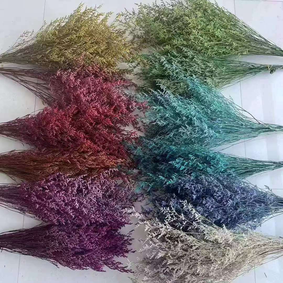 Preserved Natural Flowers Preserved Limonium Statice Everlasting Valentine's Grass Decorative Flower Limonium Statice