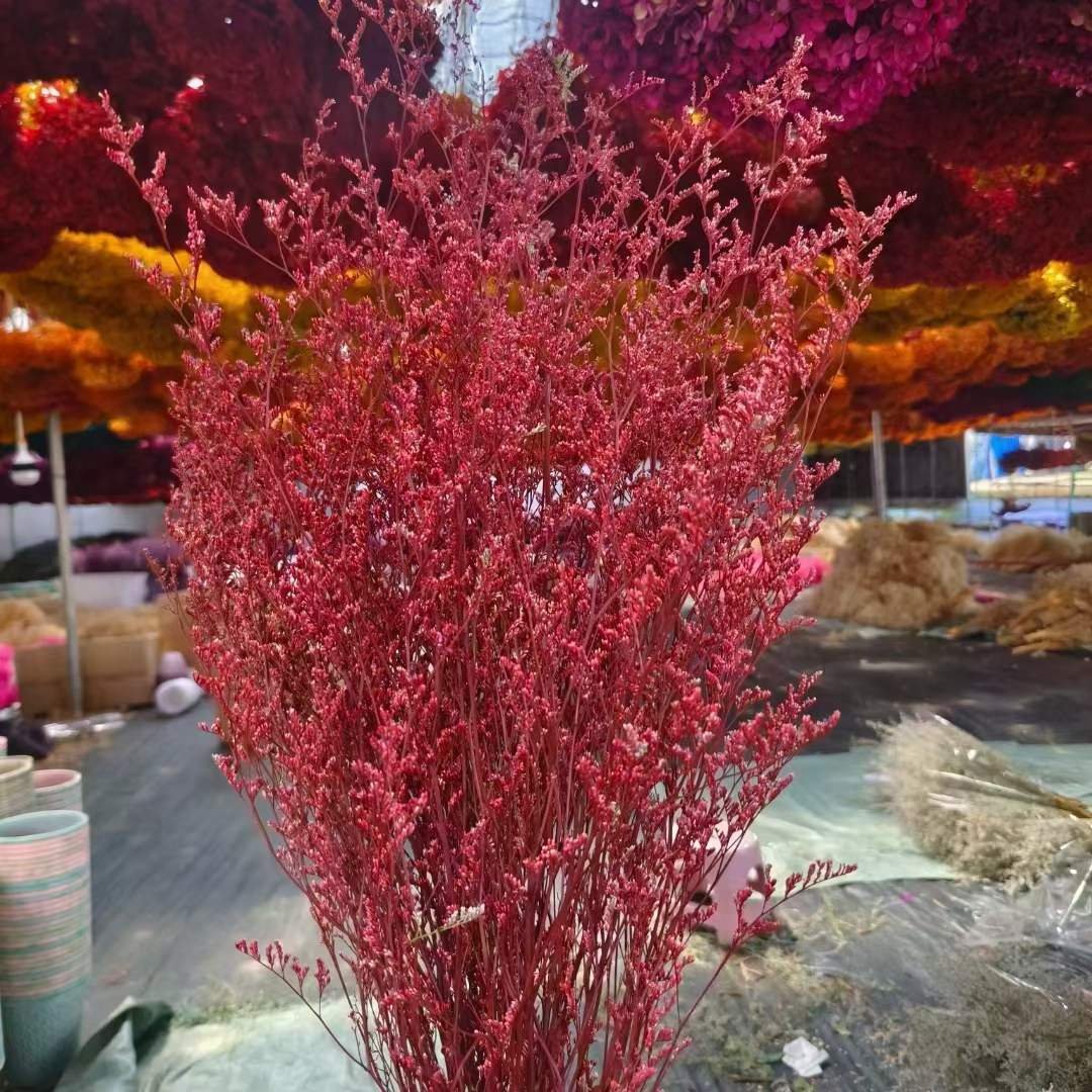 Preserved Natural Flowers Preserved Limonium Statice Everlasting Valentine's Grass Decorative Flower Limonium Statice