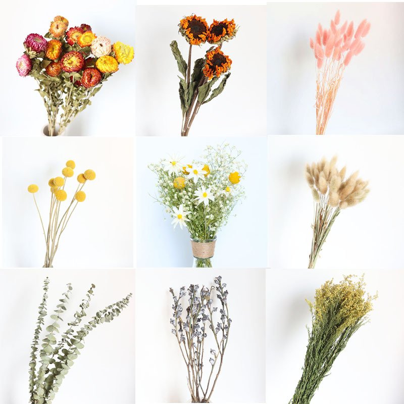 Wholesale high quality decorative dry flower home decor natural dried flowers and plants