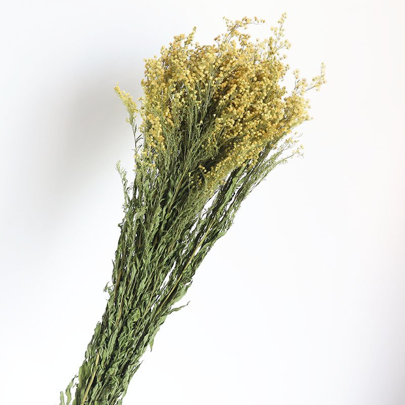 Wholesale high quality decorative dry flower home decor natural dried flowers and plants