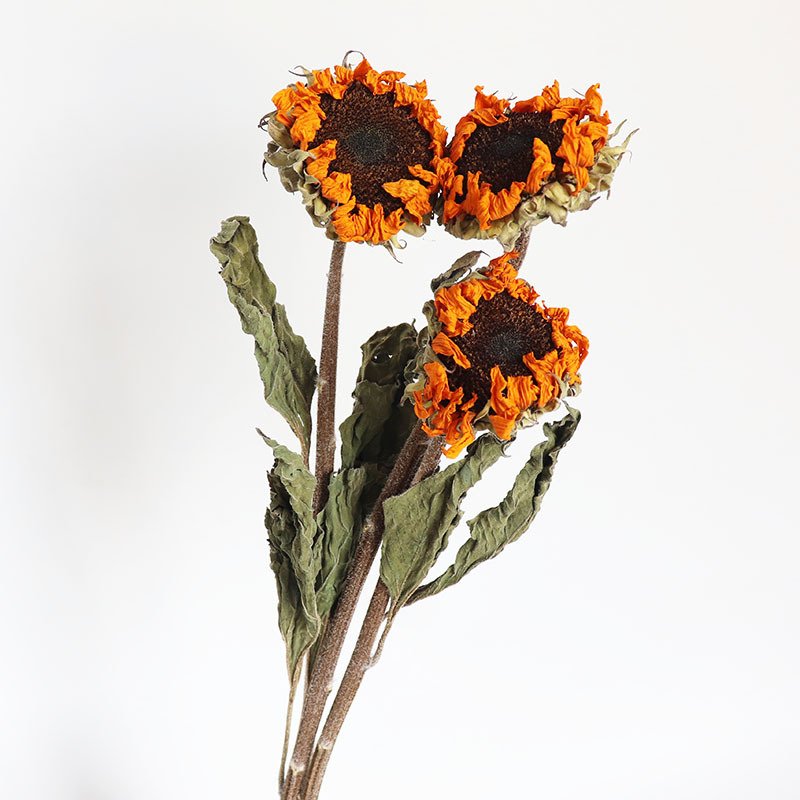 Wholesale high quality decorative dry flower home decor natural dried flowers and plants