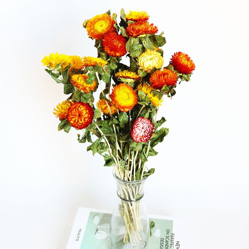 Wholesale high quality decorative dry flower home decor natural dried flowers and plants