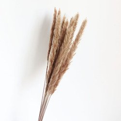 15pcs
